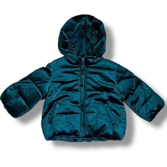 NWT Gymboree Baby Puffer Coat Size 18-24 M Forrest Green Velvet Full Zip Hooded - Picture 1 of 13